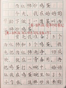 我家厨房的作文网味道