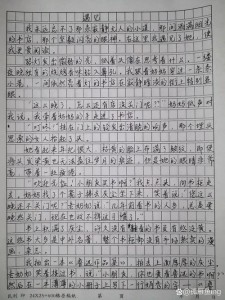遇见作大学作600字记叙文初中