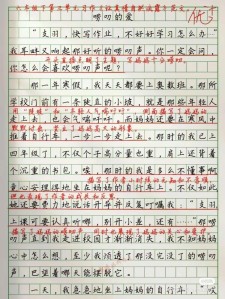 精选亲情作优秀作文800字记叙文母亲