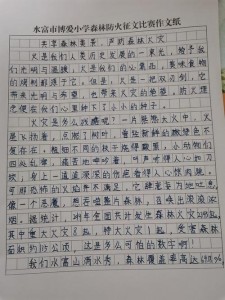 初中森林防火作看图作文600字左右