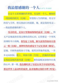 小学我最想感谢的初中作人400字作文（个人通用）