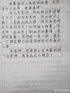 高中赞美老师的小升初作文作文