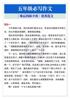 难忘除夕夜800字