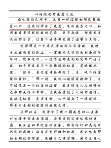 写感恩的中考作文心的作文800字