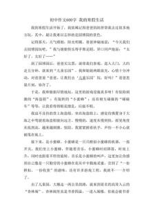 寒假来临作小升初作文600字2022