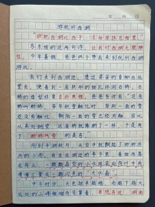 高中生暑假游记作高考作文