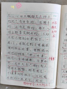 拜年作文300字小学三年作文通用7篇