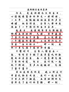 初一生日惊喜作作文素材