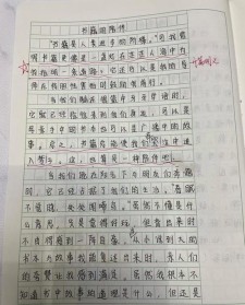 关于书籍的作文素材作文800字初中作文