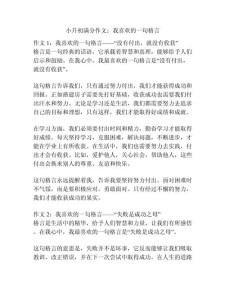 做自己喜欢的作文大全事作文