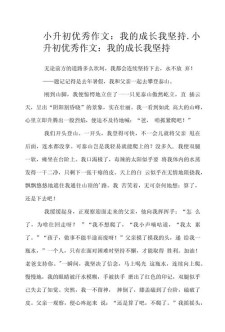 我的小升初作文一本课外书作文
