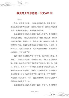 我爱冬天作高考作文600字初中（精选8篇）