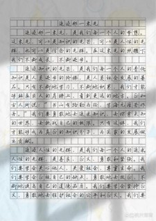 不该舍弃的小升初作文微光