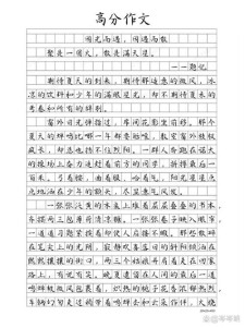 广东高考2017年满分作文：作文网邀客龟峰之巅