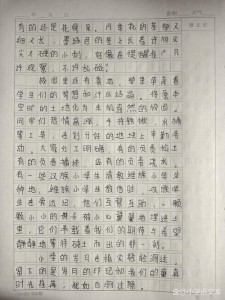 最美的小学作地方作文600字作文初中