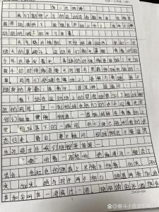 初一运动会作作文400字