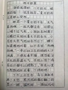 雨中即景作文500字动静结合小学五年作文素材