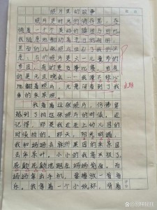 照片里的高考作文故事作文400字初中
