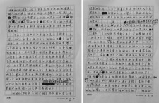 作文我的作文网中国梦