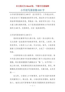 又是一年盛夏时作小升初作文600字（优秀4篇）