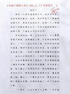 他笑了作小升初作文