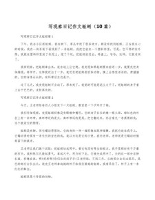 蚯蚓作作文网600字