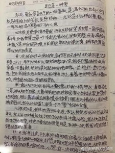 爱是什么作优秀作文600字初中精选合集