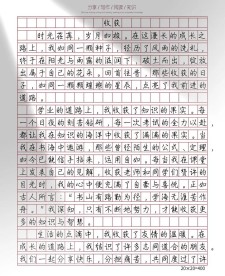 关于收获的中考作文作文500字六年级
