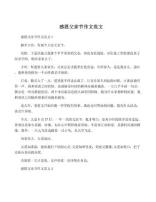 感恩父亲作作文大全1000字高中
