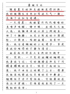 六年高中作小学生500字暑假日记（最火7篇）