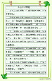 龟兔赛跑小学作作文素材精选5篇