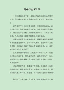 高中雨中的中考作文感动作文800字