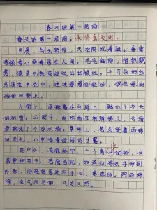春天的看图作文第一场雨作文500字小学五年级写景作文
