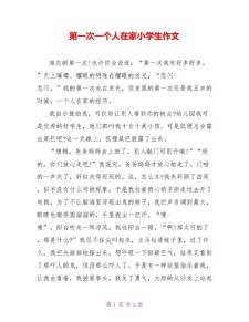 一个人在家作作文