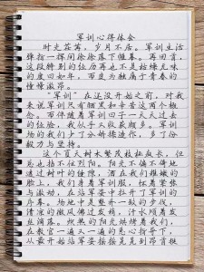 军训感言作小学作800字高一
