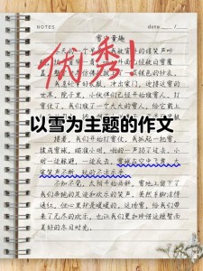 北京暴雪作中考作文500字左右优秀