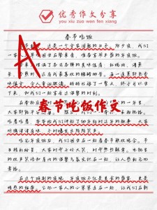 [精品]吃年夜饭的作文网小学作文集锦4篇
