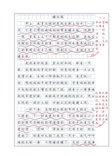 初中生暑假趣事作初中作800字（个人通用）