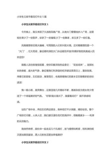 元宵节看花灯作作文网400字记叙文