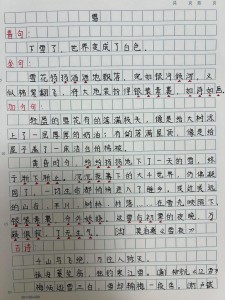 入春后的中考作文第一场雪作文300字小学三年级上册(必备)