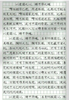 爱国小学作中考作文
