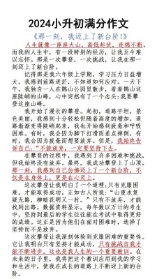 榕树小学作小升初作文15篇