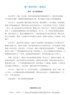 《变形记》满分作文六年作文网500字（最新6篇）