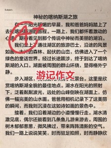 夫子庙游记作六年级作文600字