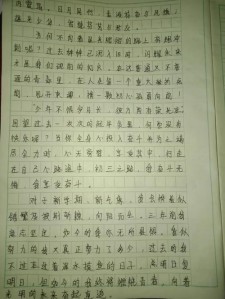 初中新生活作中考作文700字