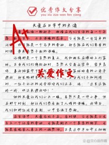 [荐]关爱小学生的高中作作文精选