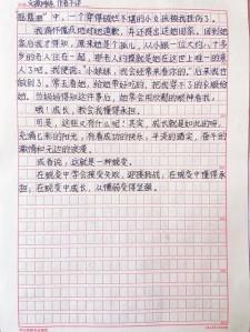 成长的初中作蜕变初中优秀作文范文（精选5篇）