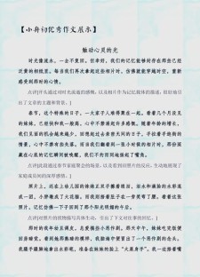 想念小学作小升初作文作文精选