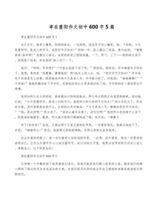有关孝心的中考作文作文初中一年级600字