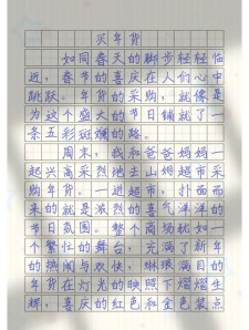 新年买年货作作文素材500字小学最新